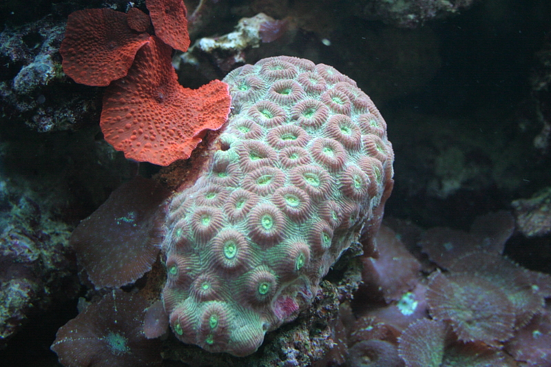 Killikus&reg; Fotographie